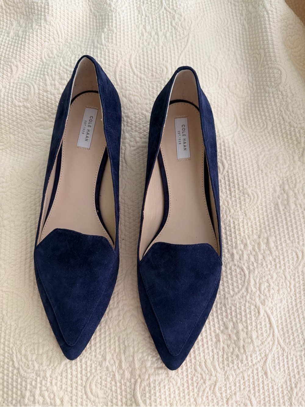 Cole Haan Navy Suede Pointed Toe Flats